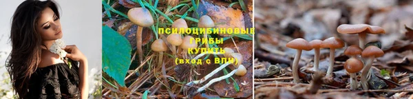 гашик Абдулино