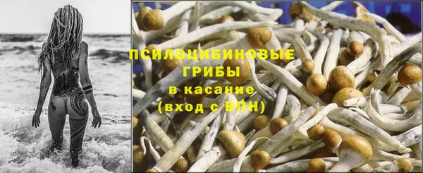 ешки Алзамай