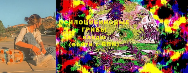 гашик Абдулино