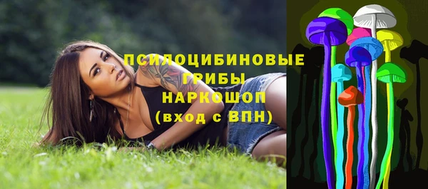 гашик Абдулино